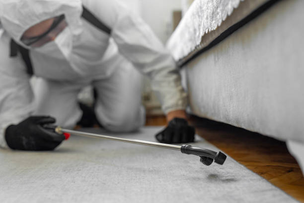 Professional Emergency Pest Control technician working in Merritt Island, FL