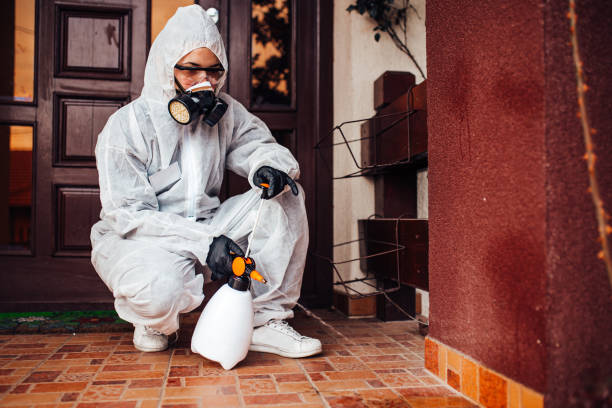 Reliable Emergency Pest Control contractor in Merritt Island, FL by Nex Pest Control